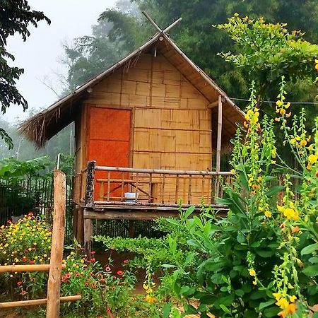 Baan Aingdoi Homestay, تْشينغْ داوْ المظهر الخارجي الصورة