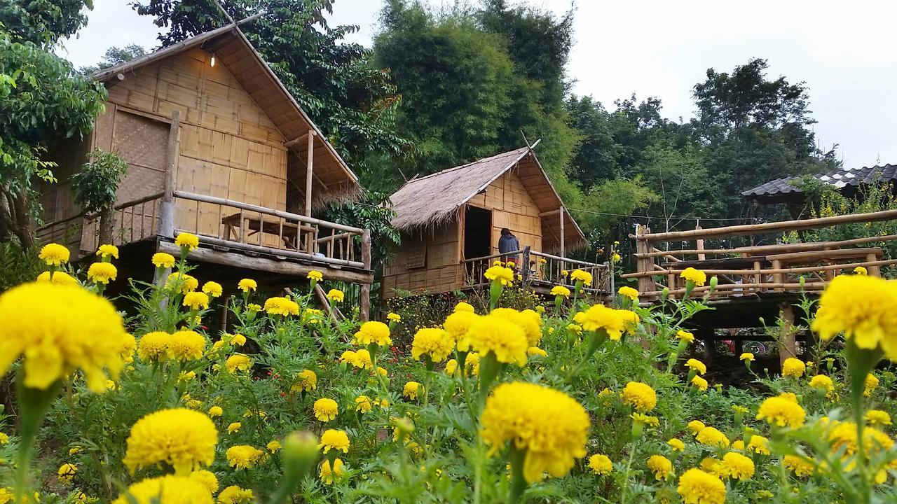 Baan Aingdoi Homestay, تْشينغْ داوْ المظهر الخارجي الصورة