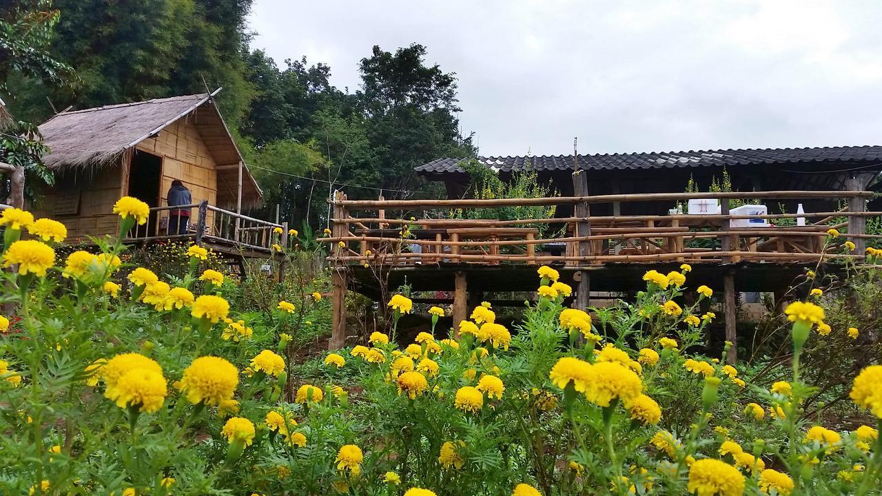 Baan Aingdoi Homestay, تْشينغْ داوْ المظهر الخارجي الصورة