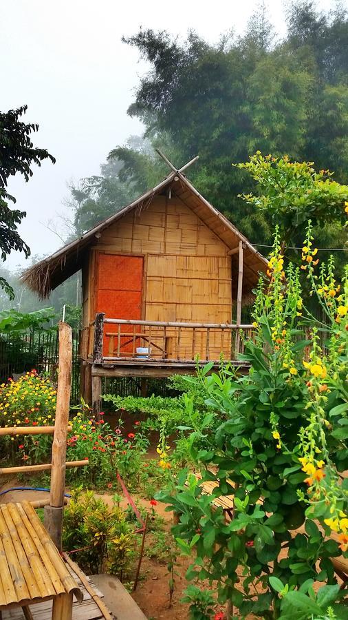 Baan Aingdoi Homestay, تْشينغْ داوْ المظهر الخارجي الصورة
