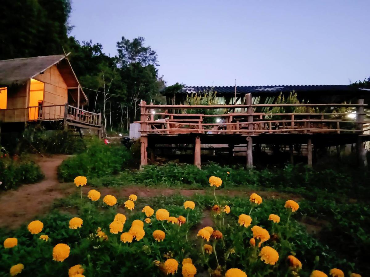 Baan Aingdoi Homestay, تْشينغْ داوْ المظهر الخارجي الصورة