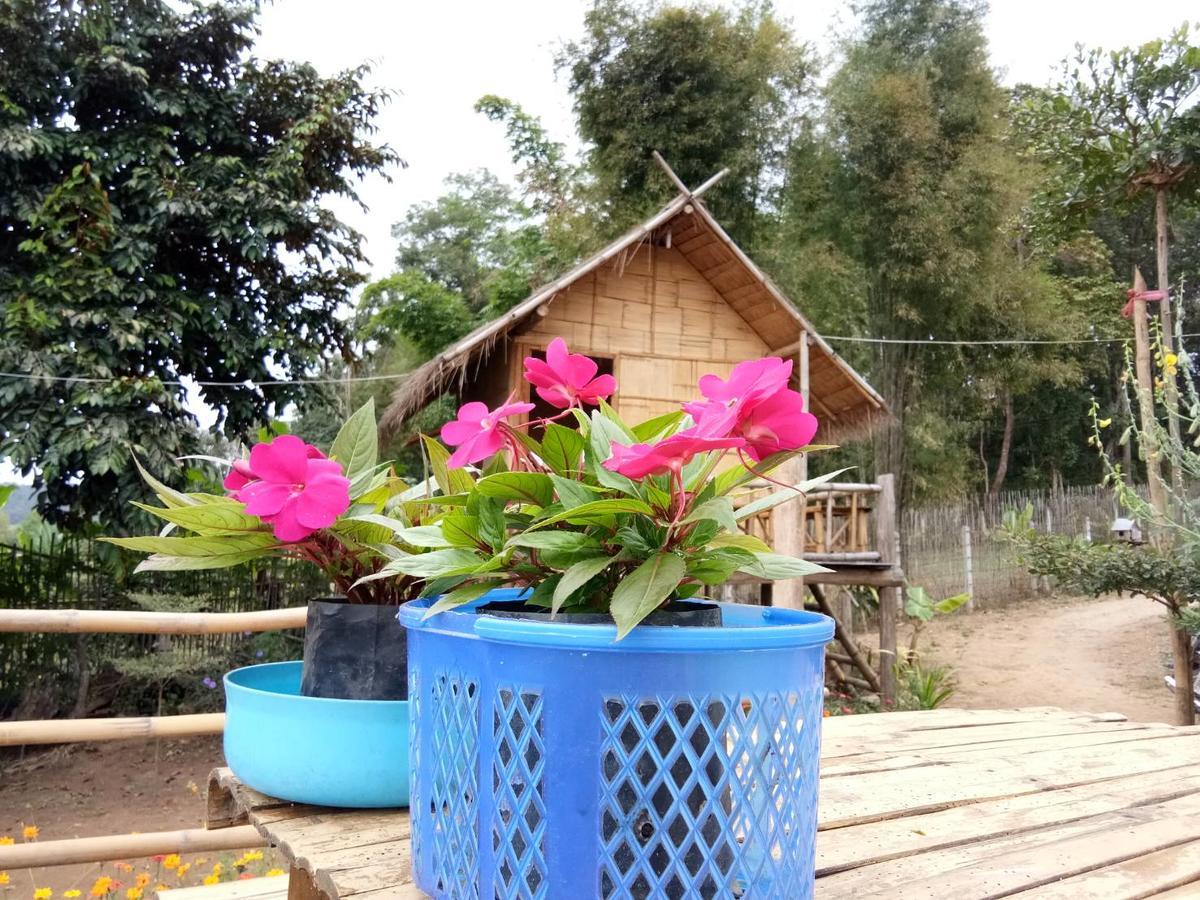 Baan Aingdoi Homestay, تْشينغْ داوْ المظهر الخارجي الصورة