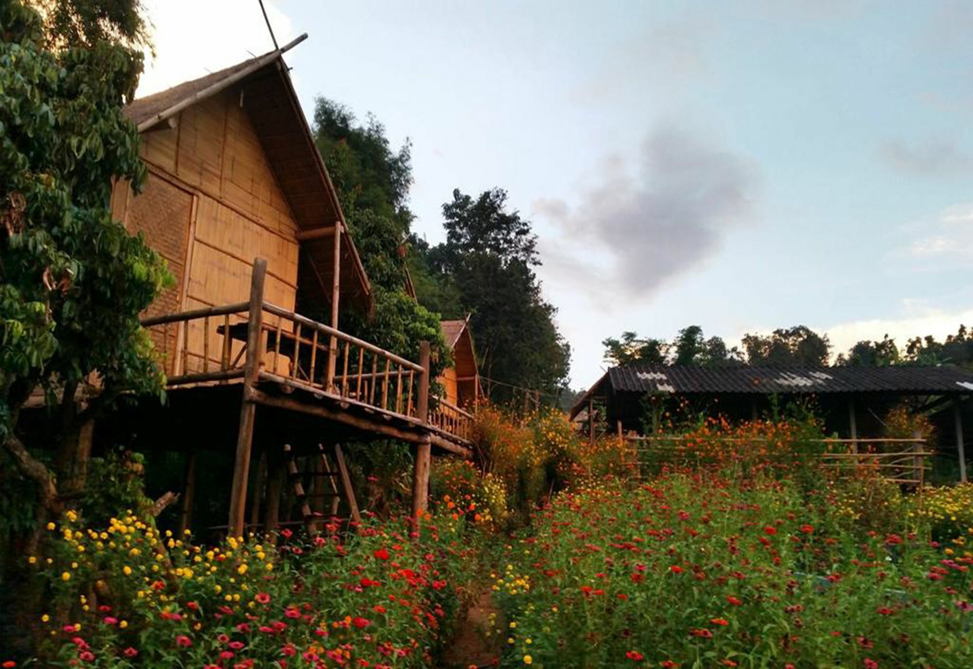 Baan Aingdoi Homestay, تْشينغْ داوْ المظهر الخارجي الصورة