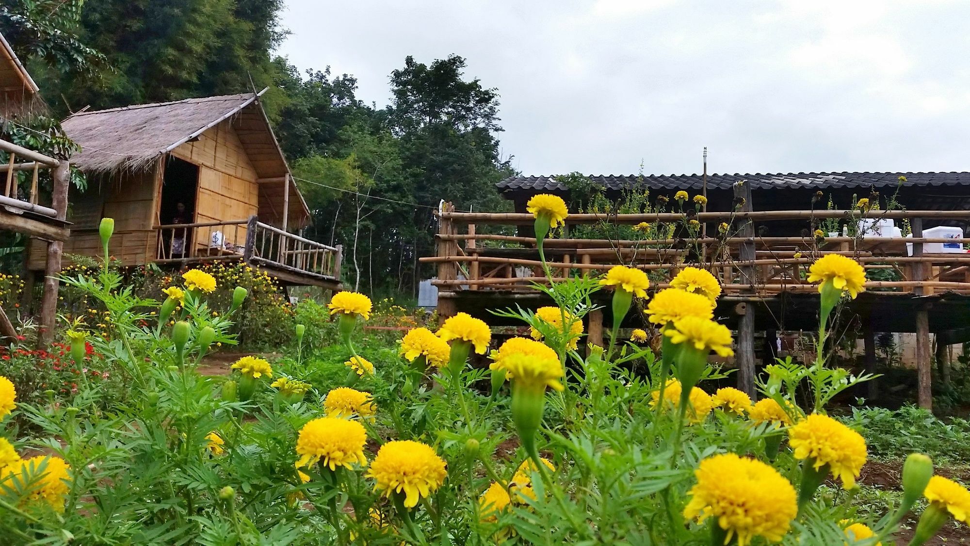 Baan Aingdoi Homestay, تْشينغْ داوْ المظهر الخارجي الصورة