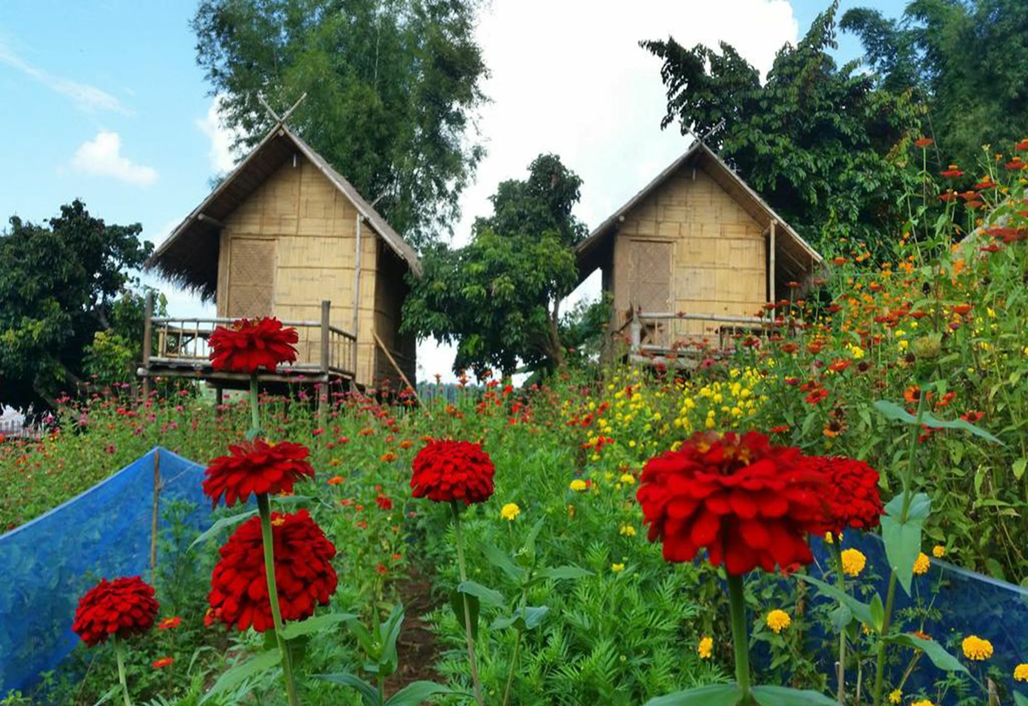 Baan Aingdoi Homestay, تْشينغْ داوْ المظهر الخارجي الصورة
