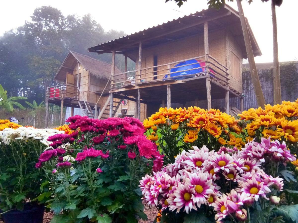 Baan Aingdoi Homestay, تْشينغْ داوْ المظهر الخارجي الصورة