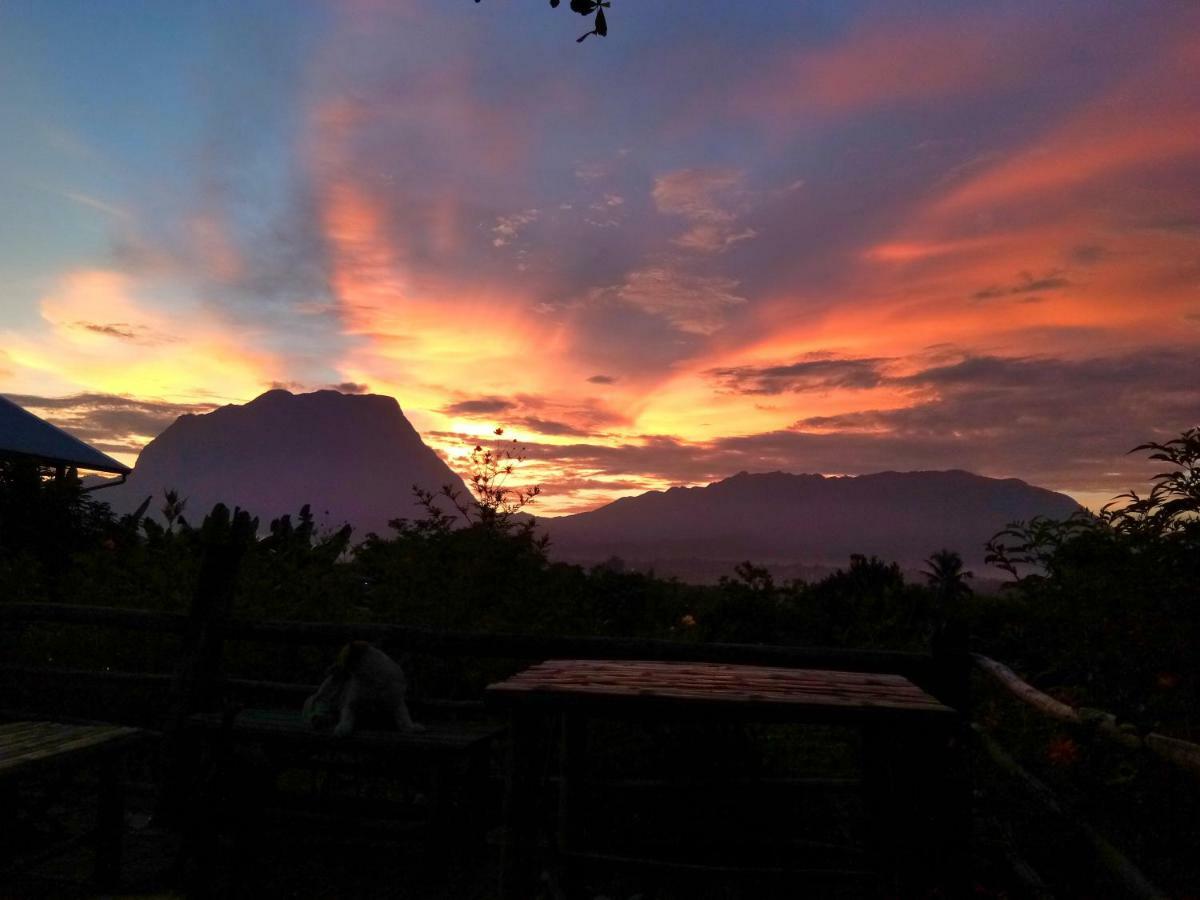 Baan Aingdoi Homestay, تْشينغْ داوْ المظهر الخارجي الصورة