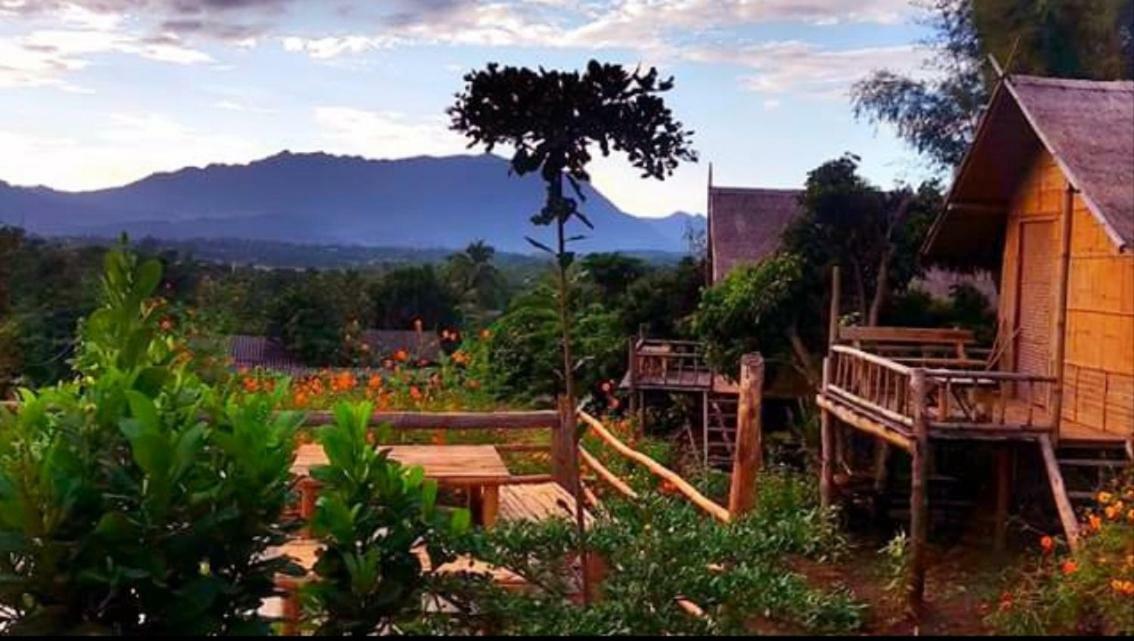 Baan Aingdoi Homestay, تْشينغْ داوْ المظهر الخارجي الصورة