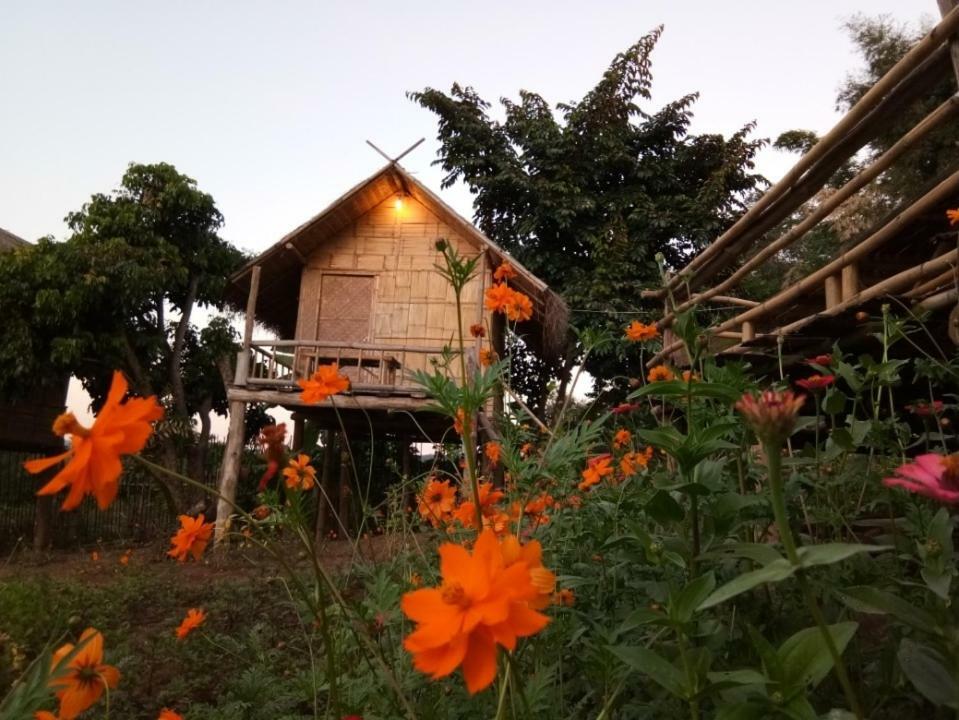 Baan Aingdoi Homestay, تْشينغْ داوْ المظهر الخارجي الصورة