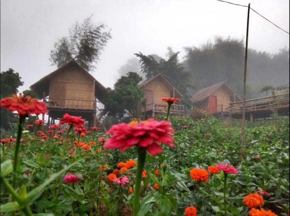 Baan Aingdoi Homestay, تْشينغْ داوْ المظهر الخارجي الصورة