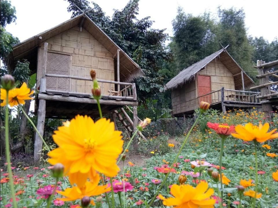 Baan Aingdoi Homestay, تْشينغْ داوْ المظهر الخارجي الصورة